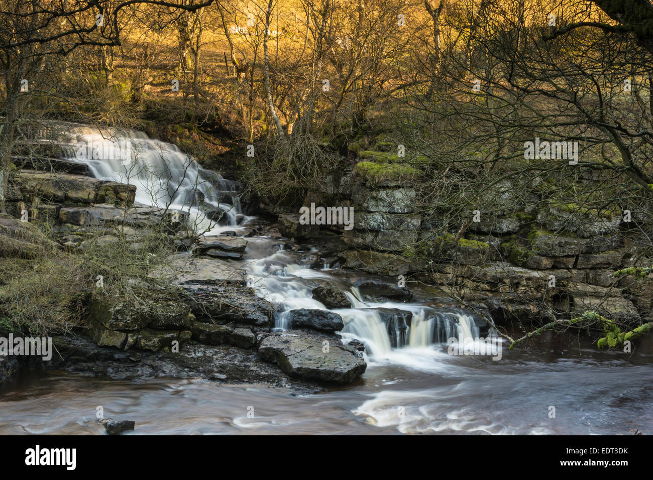 The Lower East Gill Force waterfall at Keld on a cold January day. Stock Photo