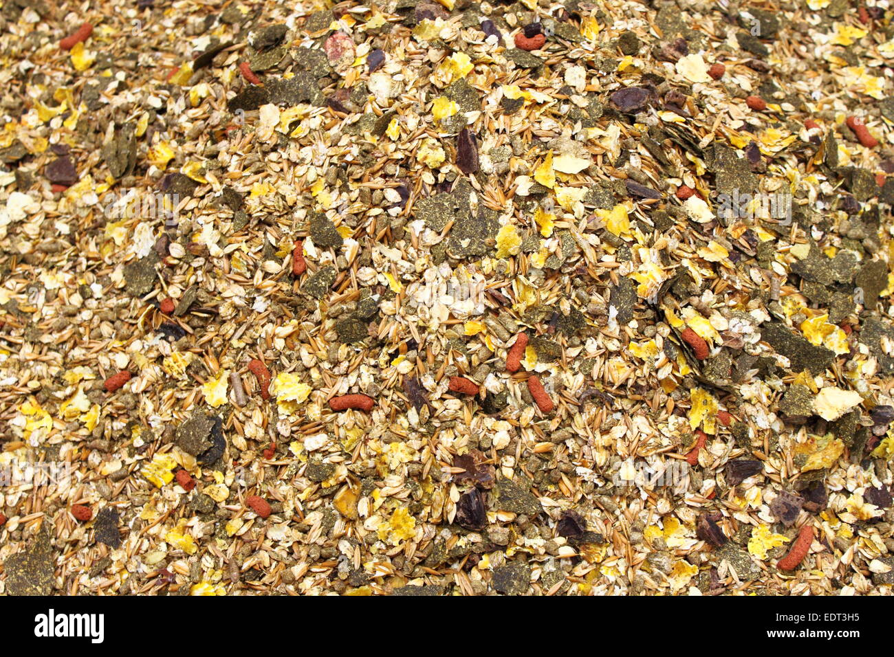 Detailed view of horse feed mix Stock Photo Alamy