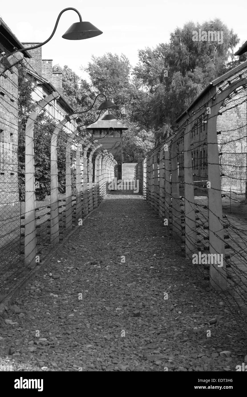 Barbed wire electrical fence at Auschwitz concentration camp, Poland Stock Photo