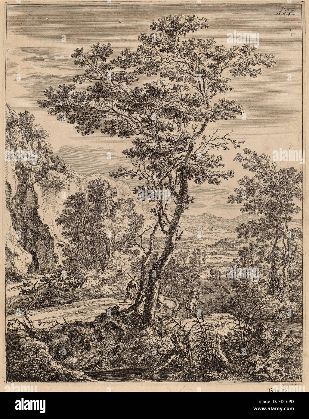 Jan Both (Dutch, 1615-1618 - 1652), The Large Tree, etching Stock Photo