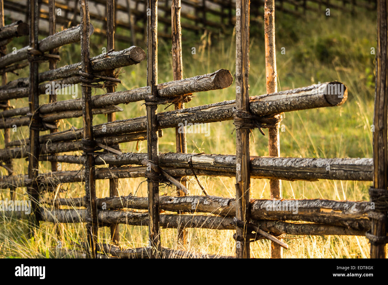 Old Wooden Fence with Tall Grass Stock Photo - Alamy