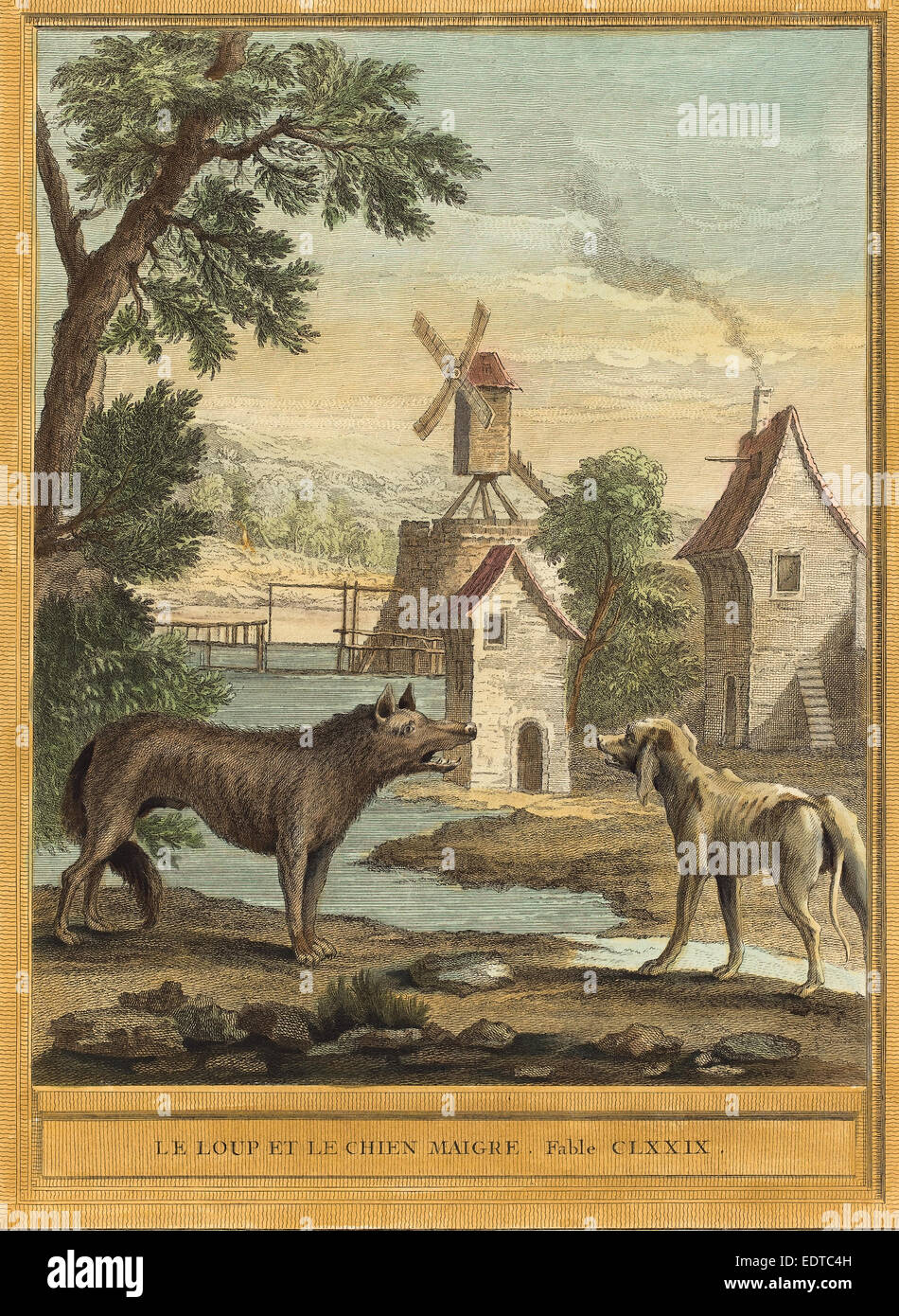 Chien Loup Stock Photos Chien Loup Stock Images Alamy