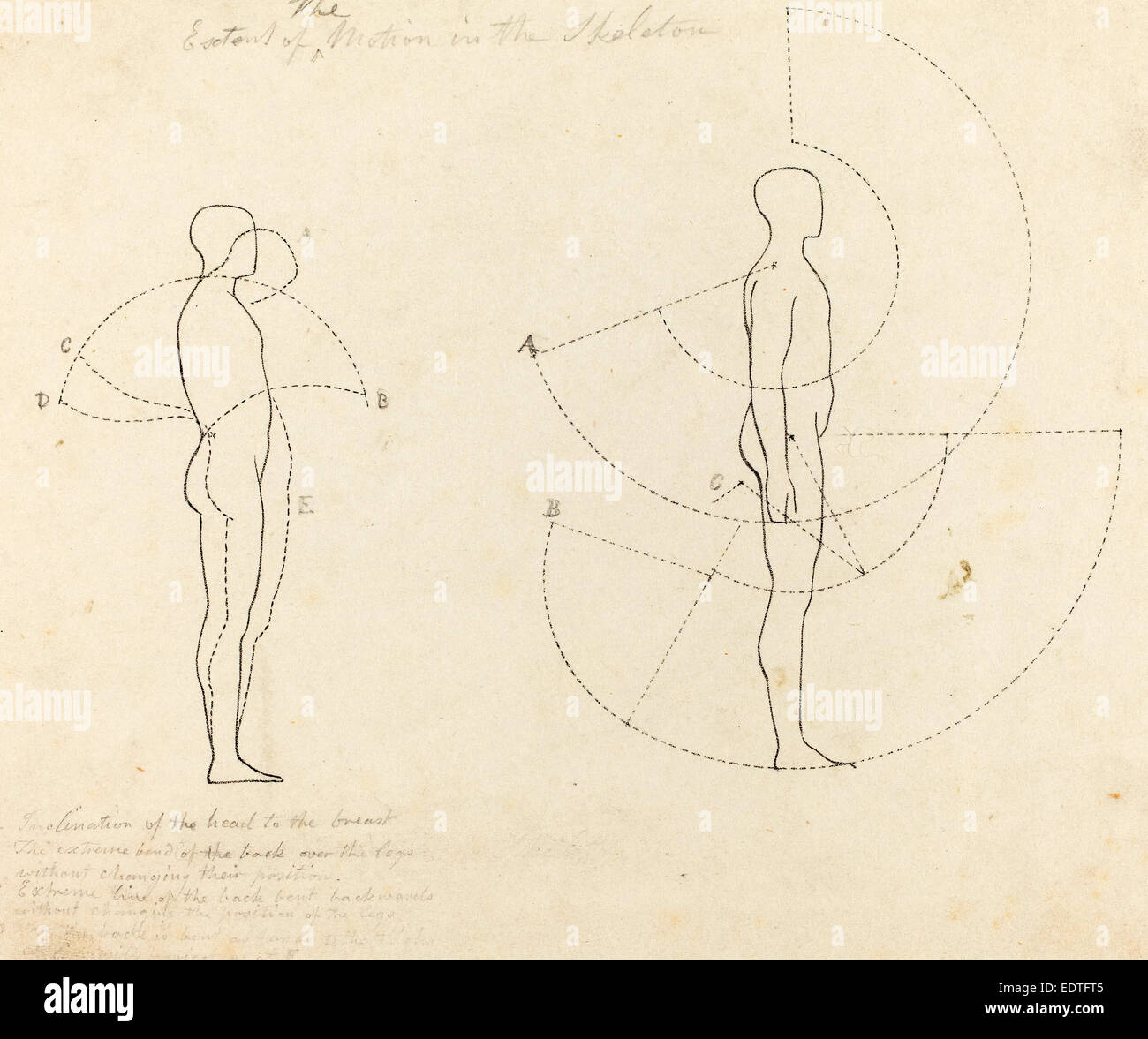 George Scharf after John Flaxman (German, 1788 - 1860), Extent of Motion Shown in Two Figures, published 1829, lithograph Stock Photo
