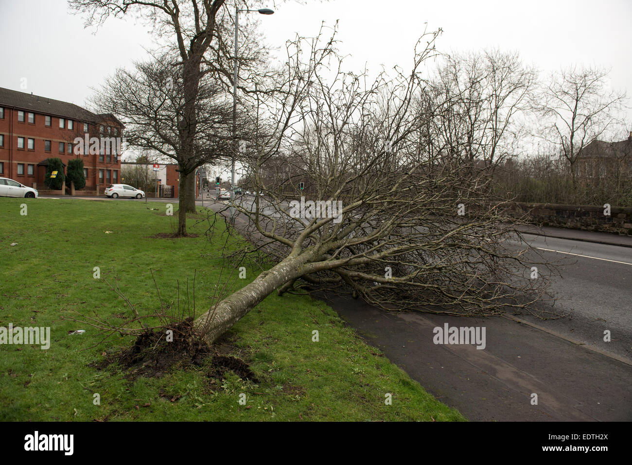 Tree fallen across road high hi res stock photography and images Alamy