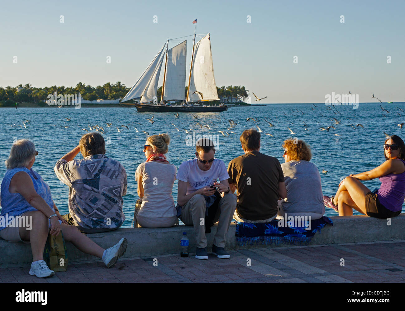 Tourists in Key West's Mallory Square watching schooner on sunset cruise. Stock Photo
