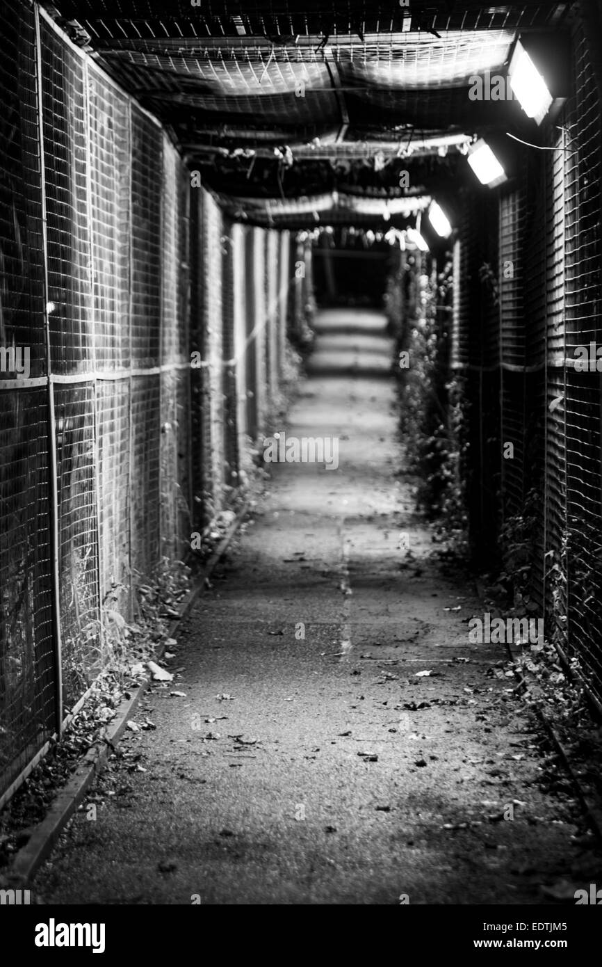 Dark Alleyway At Night High Resolution Stock Photography And Images Alamy