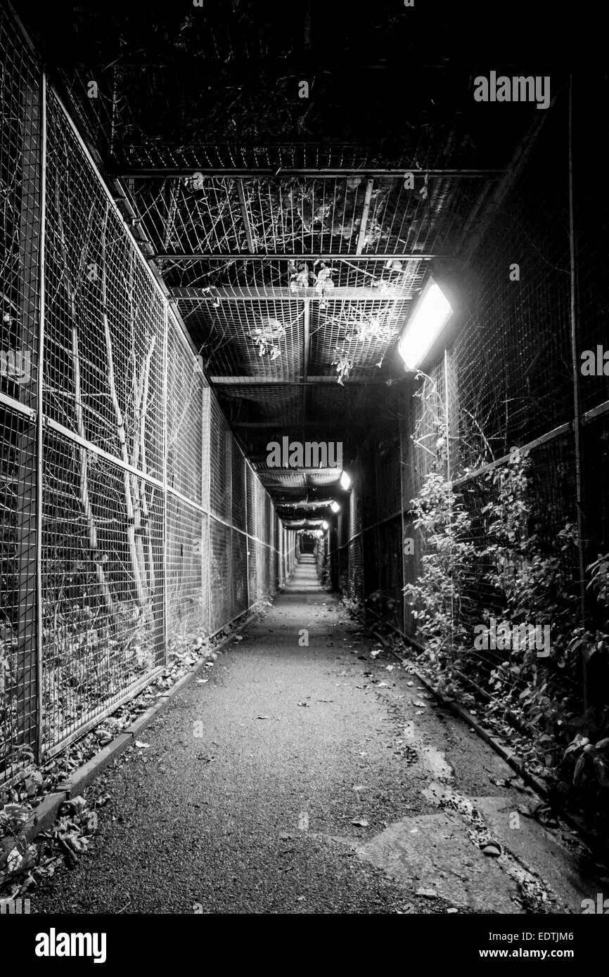 Dark Alley London High Resolution Stock Photography And Images Alamy Dark Alley London High Resolution Stock Photography And Images Alamy