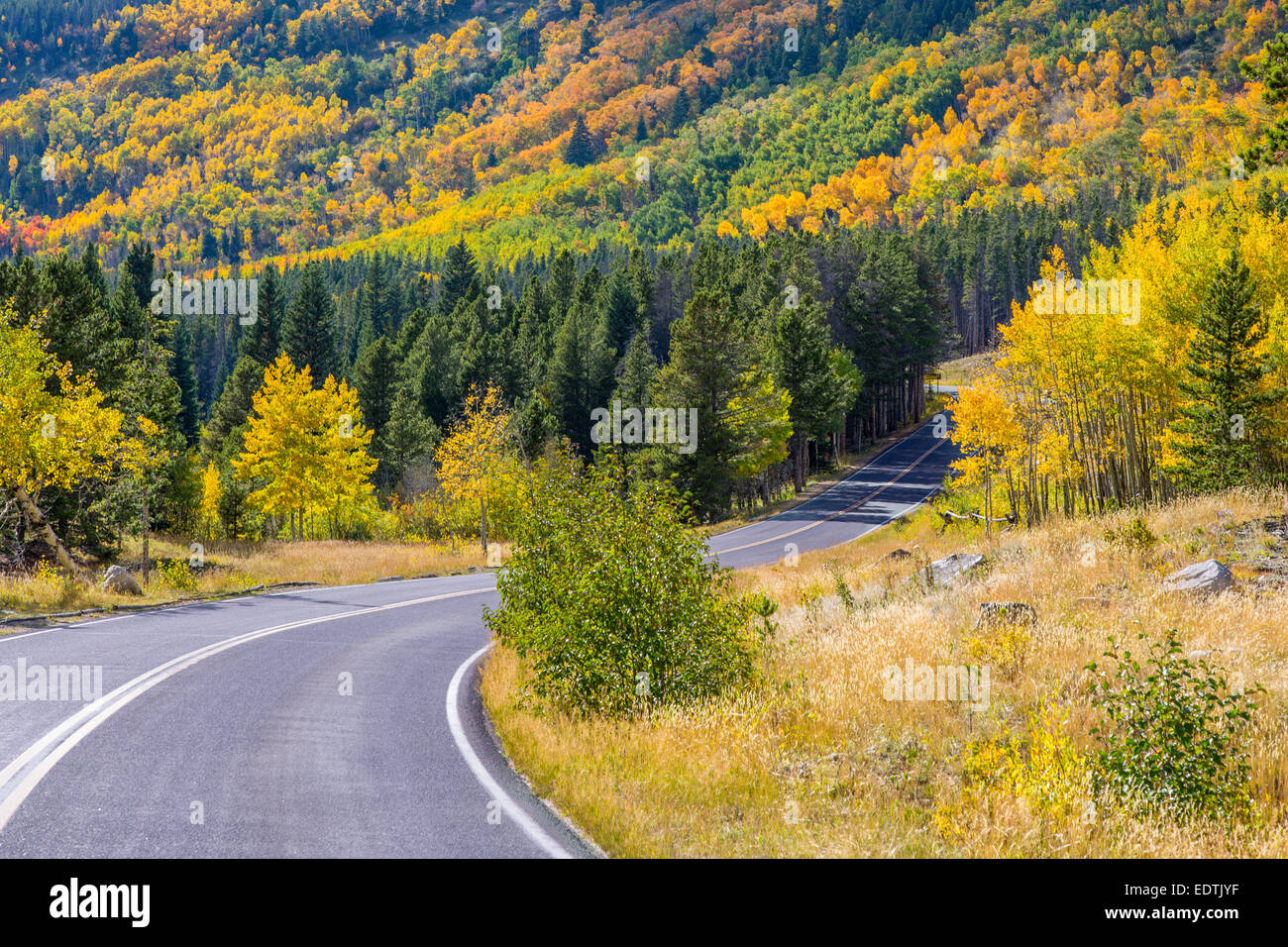 Fall color on Bear Lake Road in Rocky Mountain National Park Colorado Stock Photo