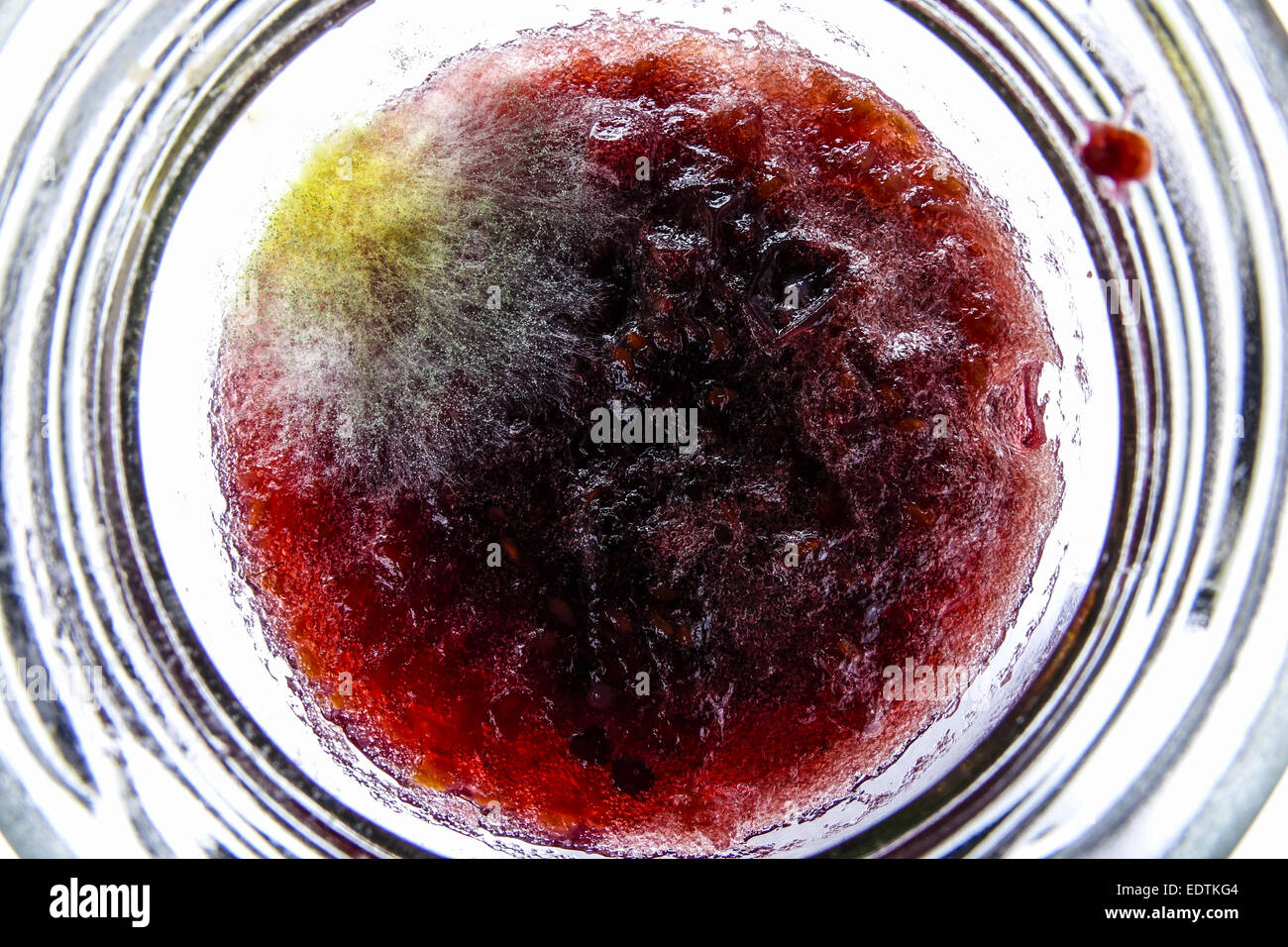 Verschimmelte Marmelade in einem Glas,Moldy jam in a jar,Marmalade, Jam,  Spreads, Detail, Disgust, Disgusting, Food, Toxic, Glas Stock Photo - Alamy