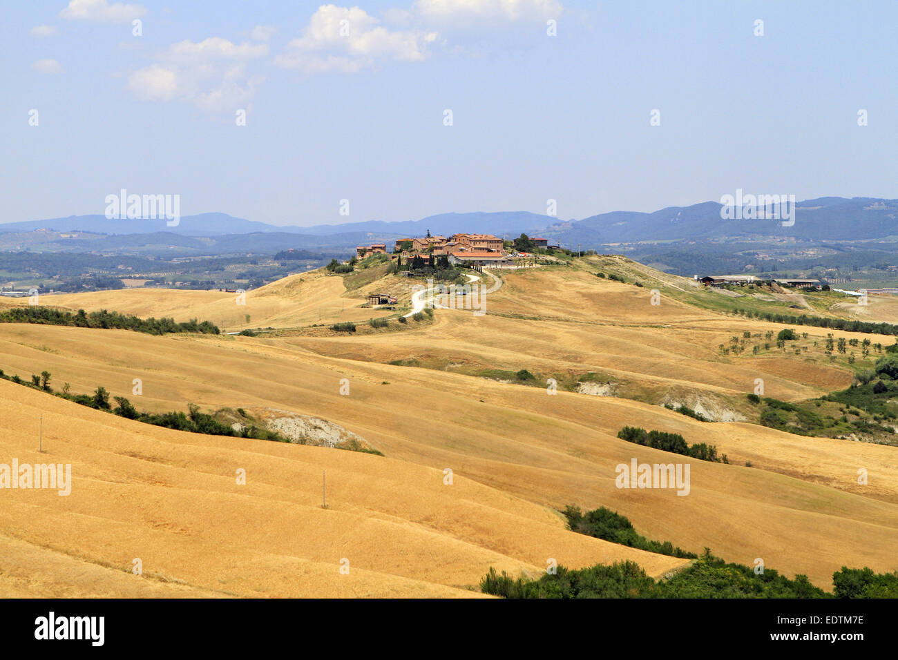 Italien, typische Landschaft in der Toskana, Crete Senesi,Italy typical ...