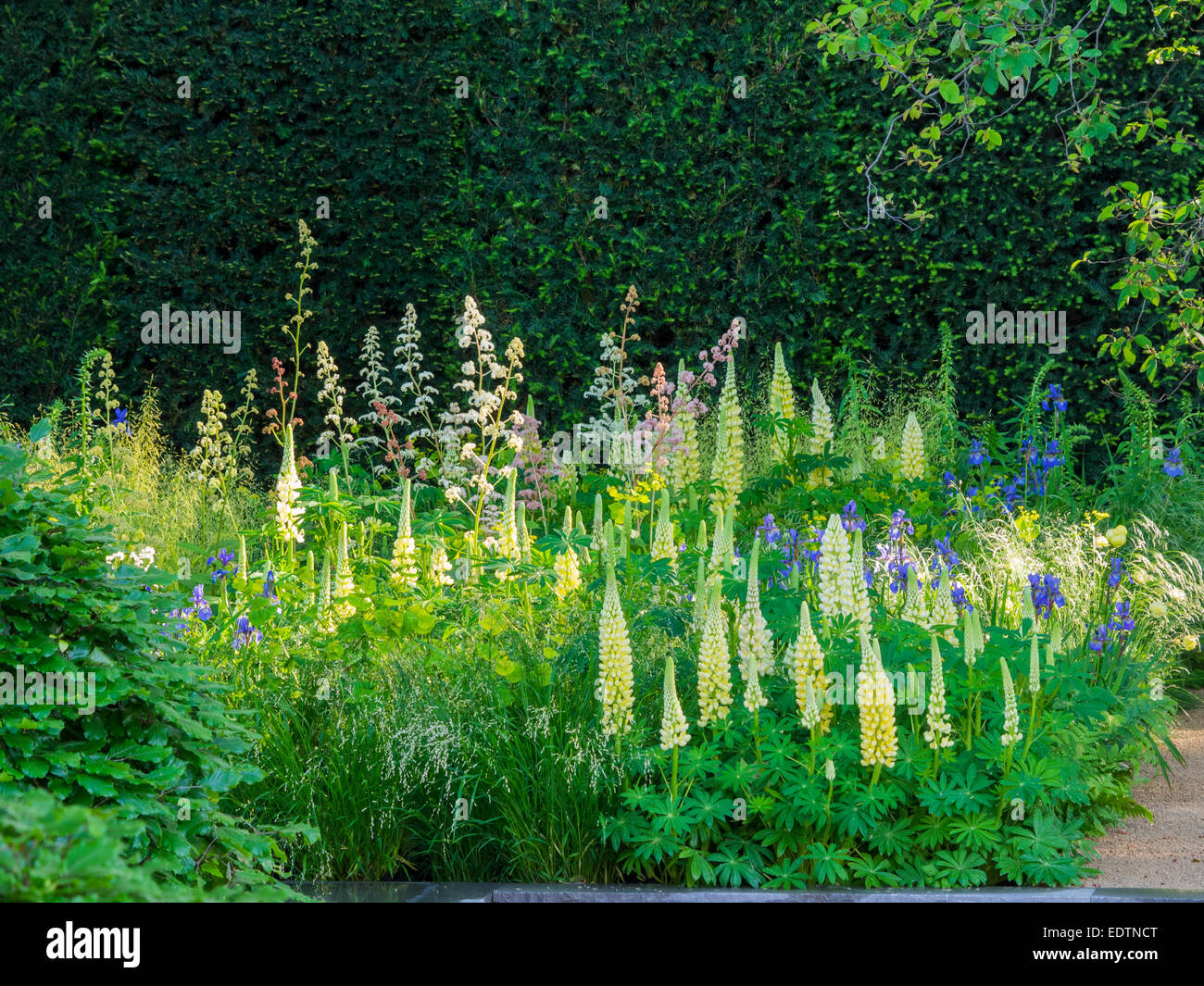 Chelsea flower show Stock Photo Alamy