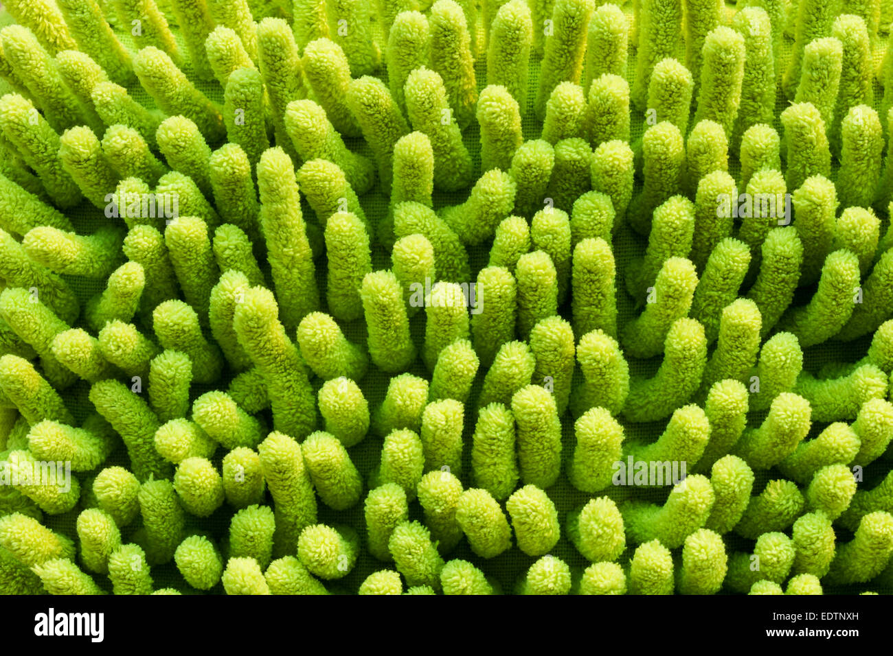 Yellow mat texture look like anemone Stock Photo