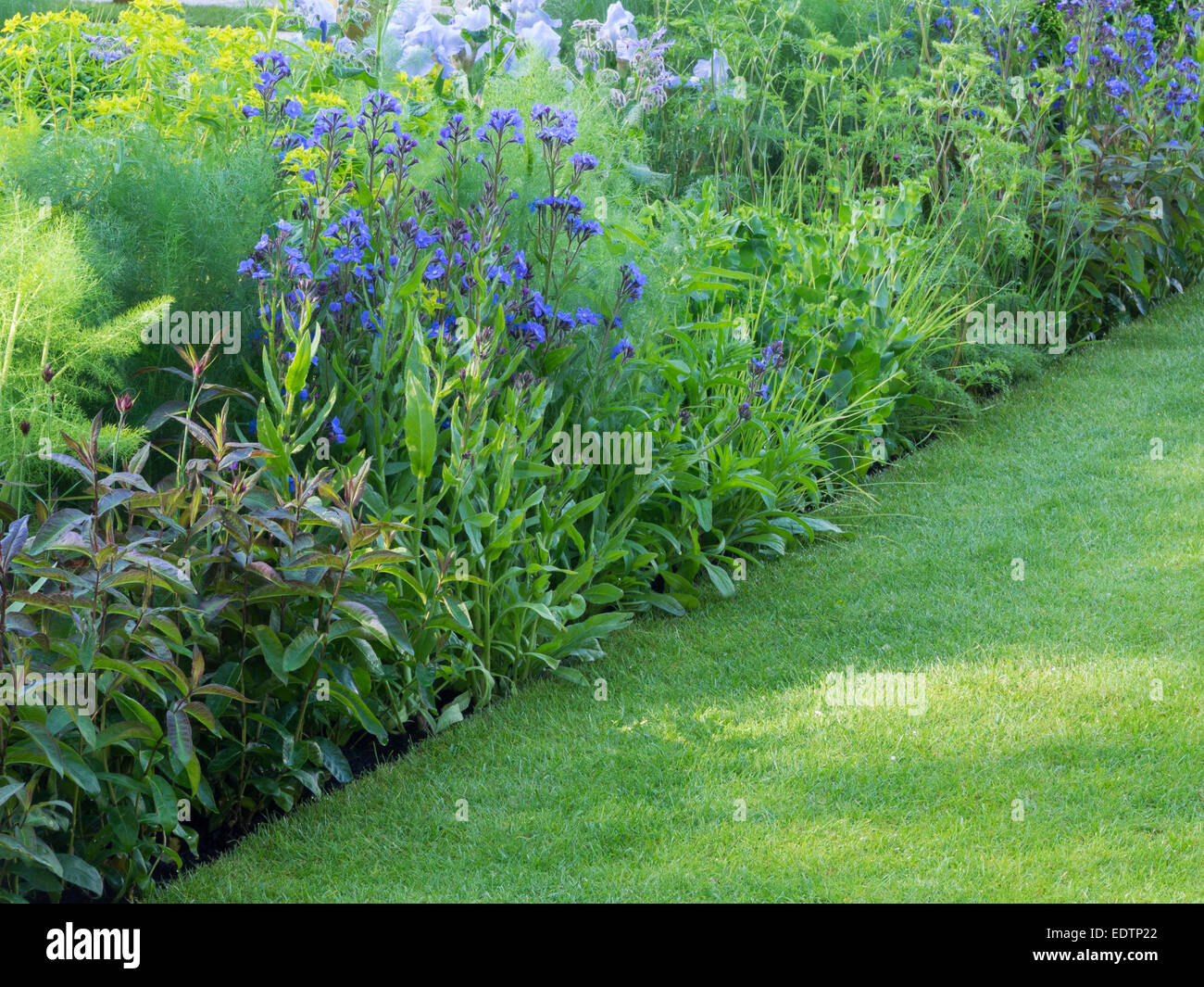 Daily telegraph garden Stock Photo Alamy