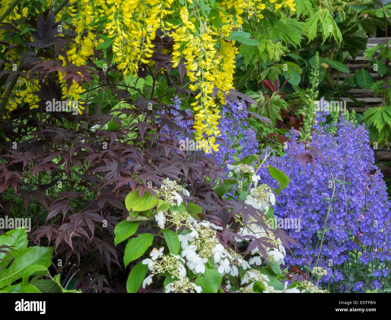 Show garden border hi-res stock photography and images - Alamy