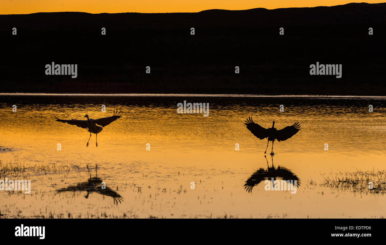 Apache Sunrise Dance High Resolution Stock Photography and Images - Alamy