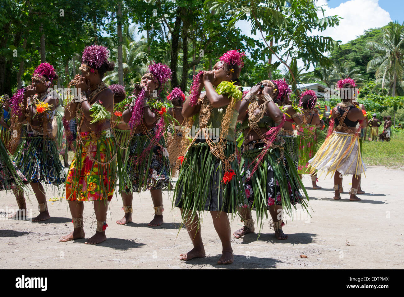 Girls Solomon Islands Handmade Traditional Costumes Editorial
