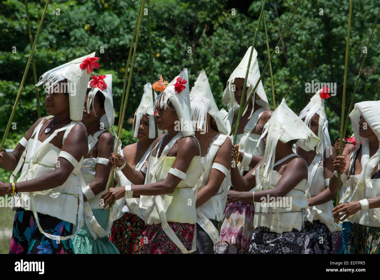 Melanesia, MakiraUlawa Province, Solomon Islands, island of Owaraha or