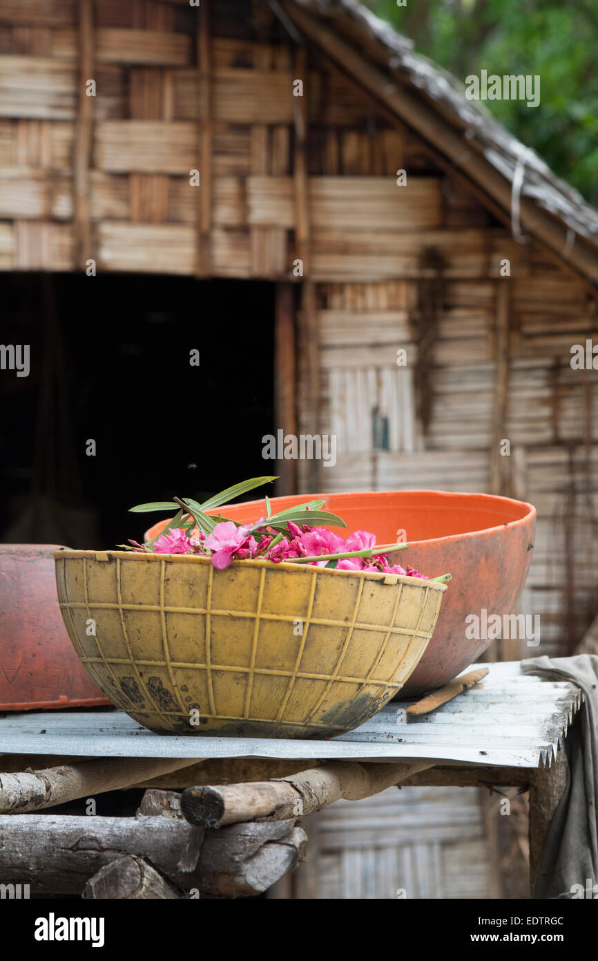 Republic of Vanuatu, Torres Islands, Loh Island. Flowers in plastic