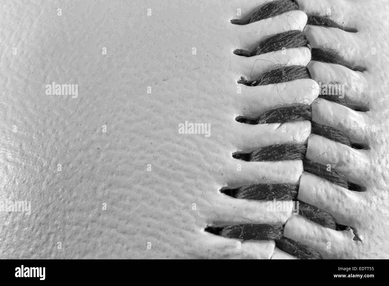 Particular of a seam of a baseball ball. Detail extractor version Stock Photo