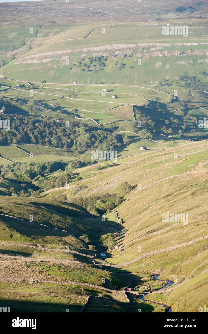 Looking down Cliff Beck ghyll from the Buttertubs road, Swaledale in the yorkshire dales national park. UK Stock Photo