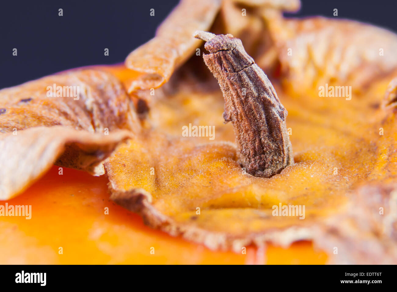 over a fruit of khaki. Macro image of a peduncle of Khaki Stock Photo