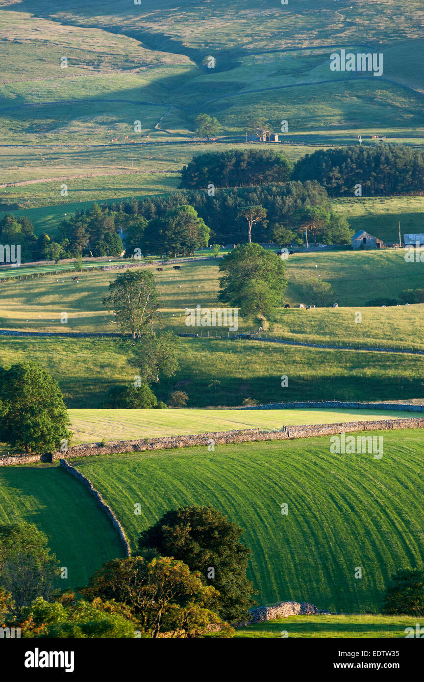 Farmland around Ravenstonedale in the Eden Valley, Cumbria, on a pleasant summers evening. Stock Photo