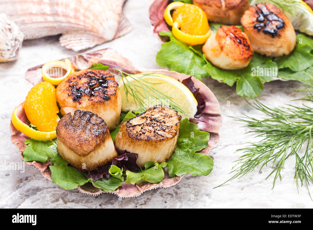 pan seared sea scallops on bed of baby greens presented in large