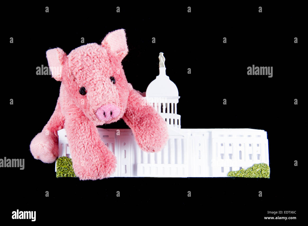Pink pig hugging replica of US Capitol building representing pork