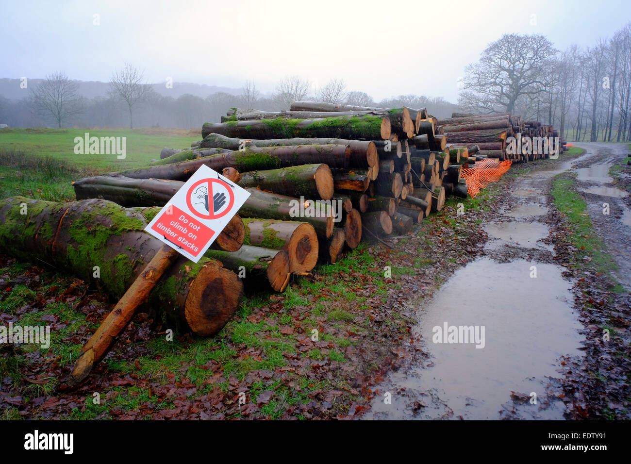 large pile of logs by a waterlogged muddy track with fallen warning sign Stock Photo