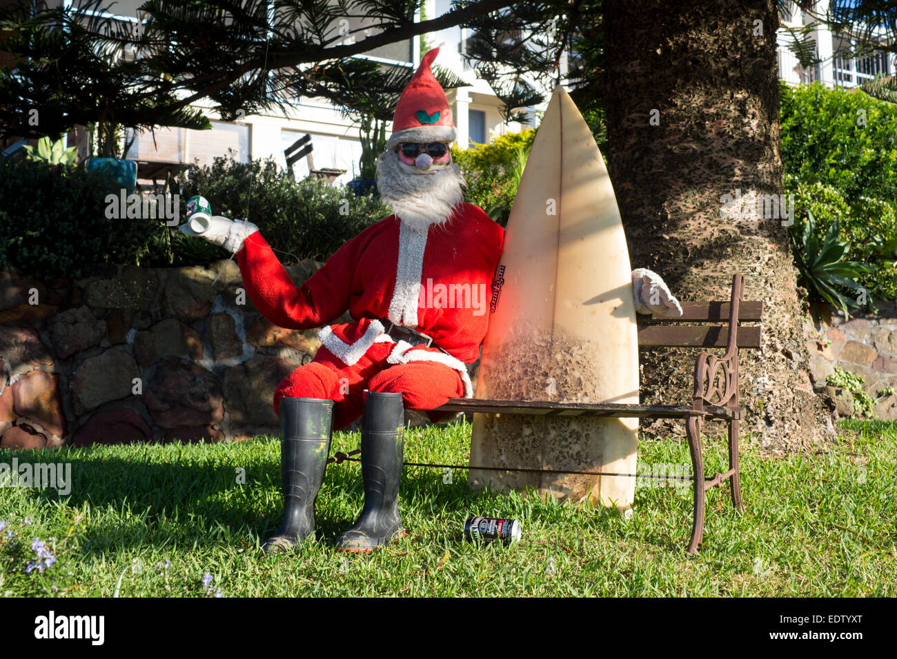 Surfer Santa Claus Surfing Surfie Santa Claus model sitting on garden bench holding surfboard holding can of beer NSW Australia Stock Photo