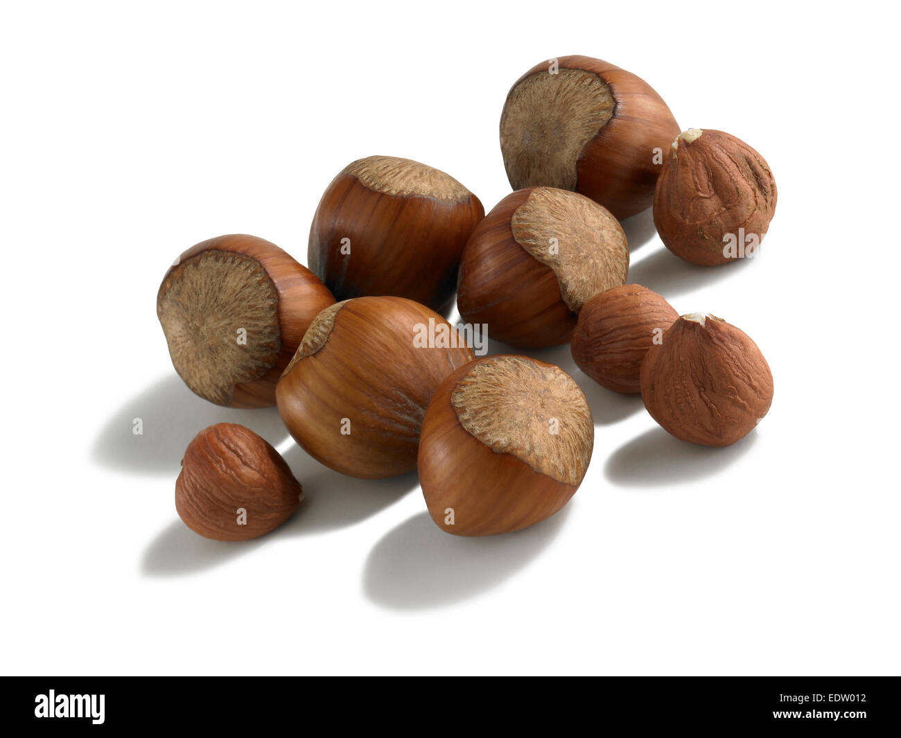 hazelnuts Stock Photo
