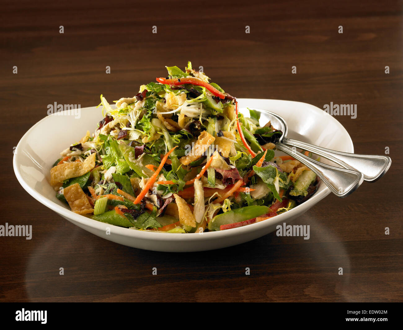 Oriental Chicken Salad Stock Photo