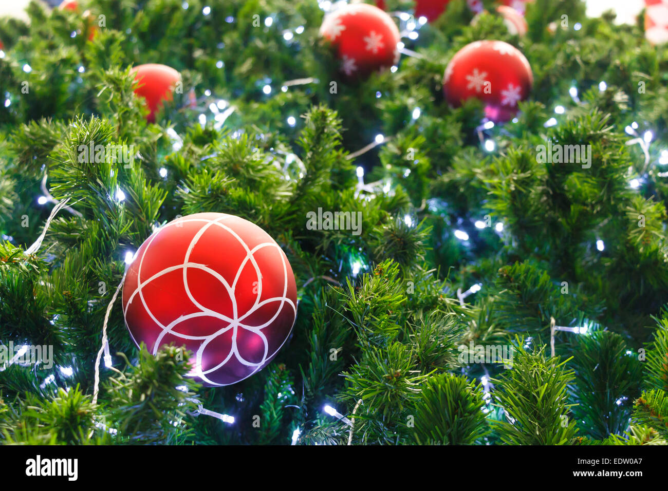 red ball and light bulb were decorated on pine tree on Christmas  day in Thailand Stock Photo