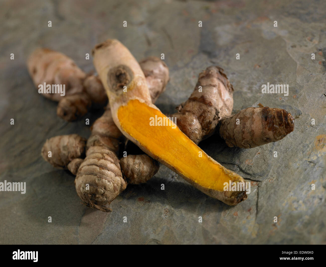 Tumeric root plant Stock Photo Alamy