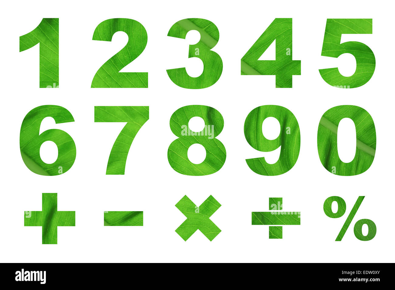 one to zero numbers and basic mathematical symbols made from green leaf  picture Stock Photo