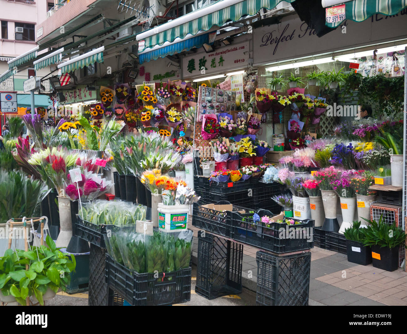Hong Kong Flower MArket in Mong Kok Stock Photo Alamy