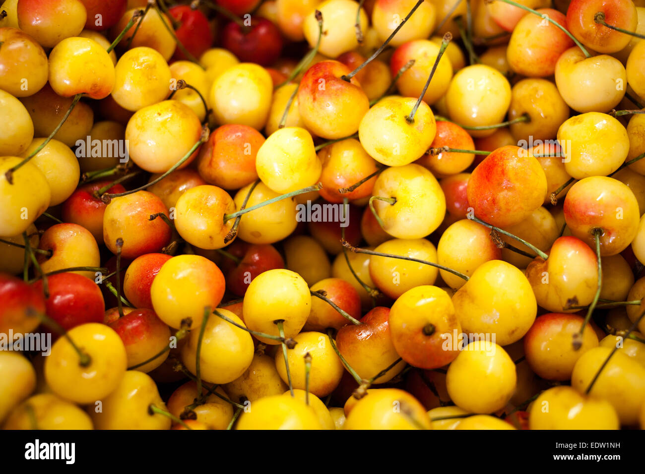 Yellow and Red Ripe Cherries Background Stock Photo - Alamy