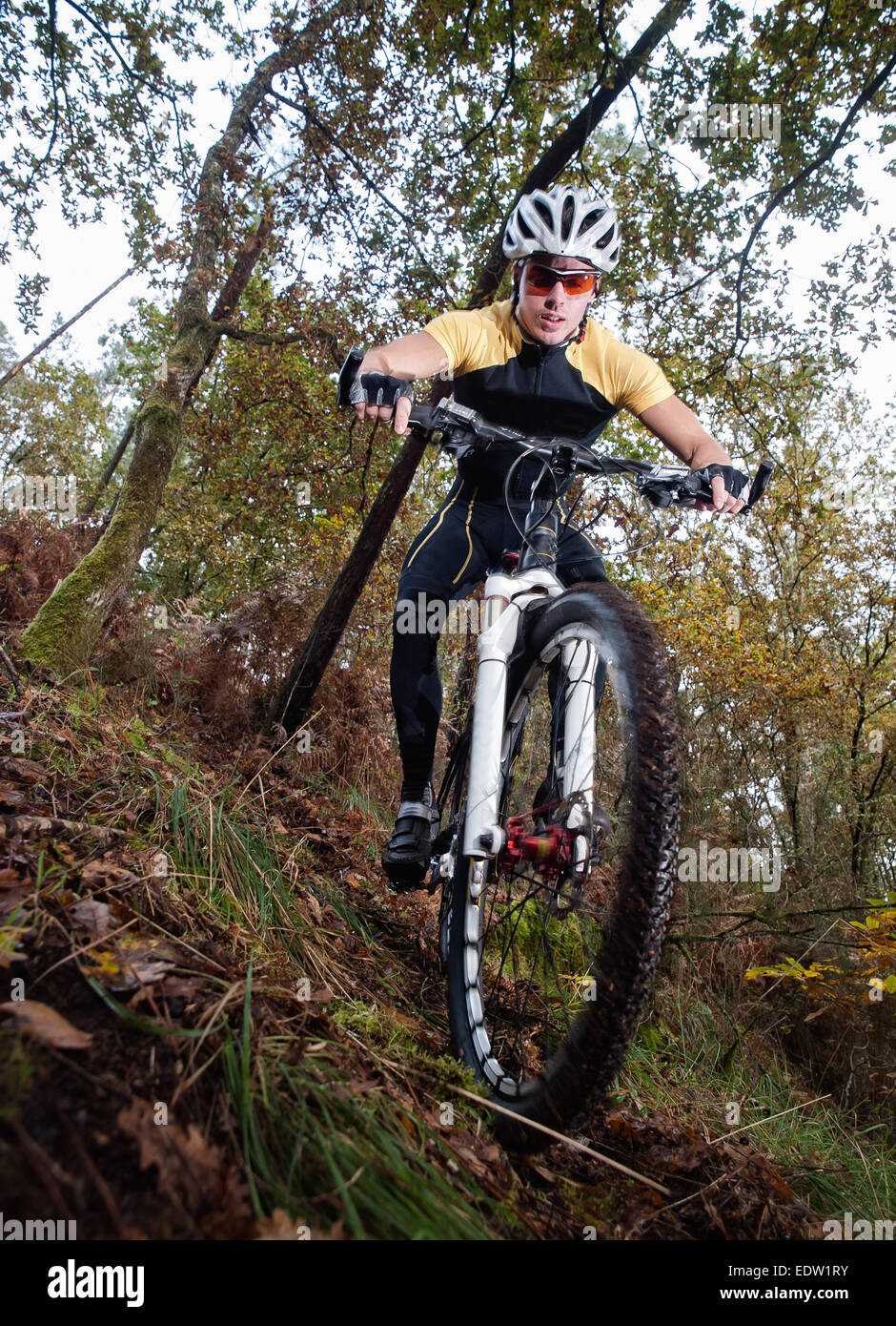 M bike hi-res stock photography and images - Alamy