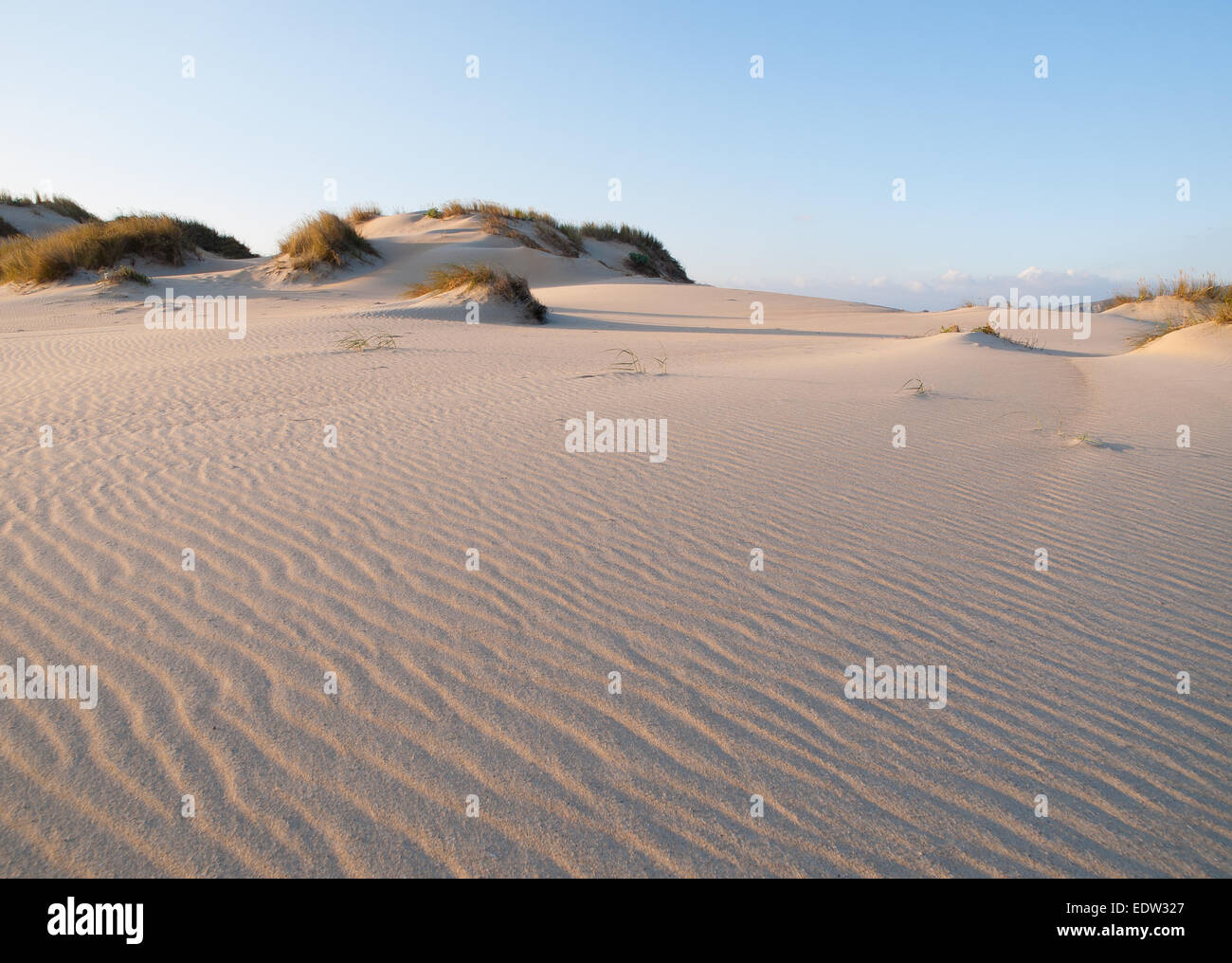 Dune on the beach at sunset Stock Photo - Alamy