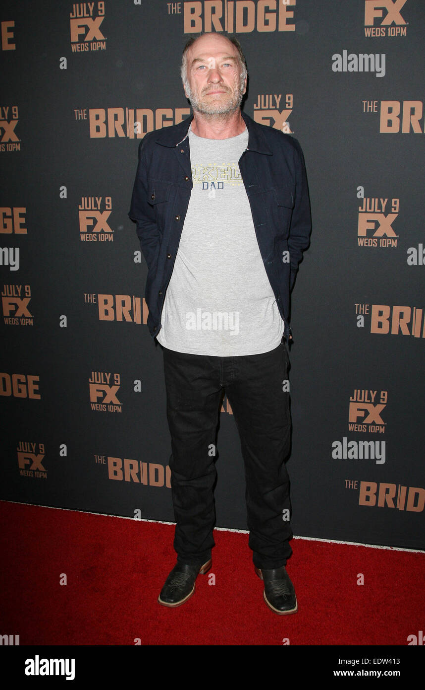 FX's 'The Bridge' Premiere held at the Pacific Design Center  Featuring: Ted Levine Where: Los Angeles, California, United States When: 08 Jul 2014 Stock Photo