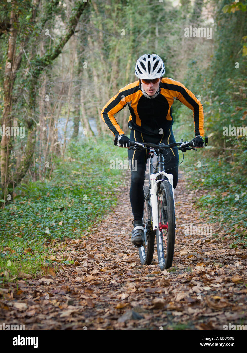 Cyclist on a mountain bike riding in the forest outdoors. Stock Photo
