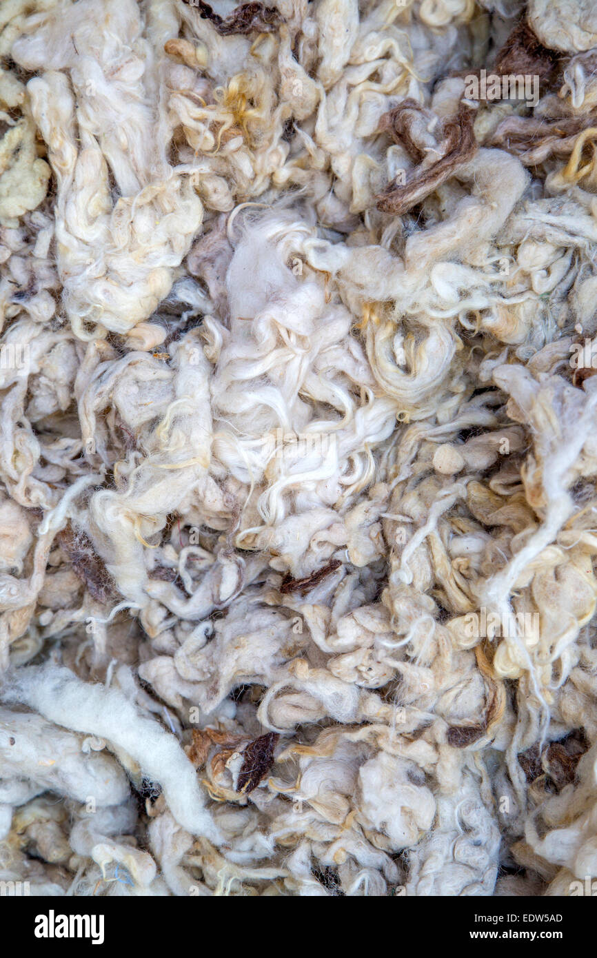 Raw wool on the market Stock Photo Alamy