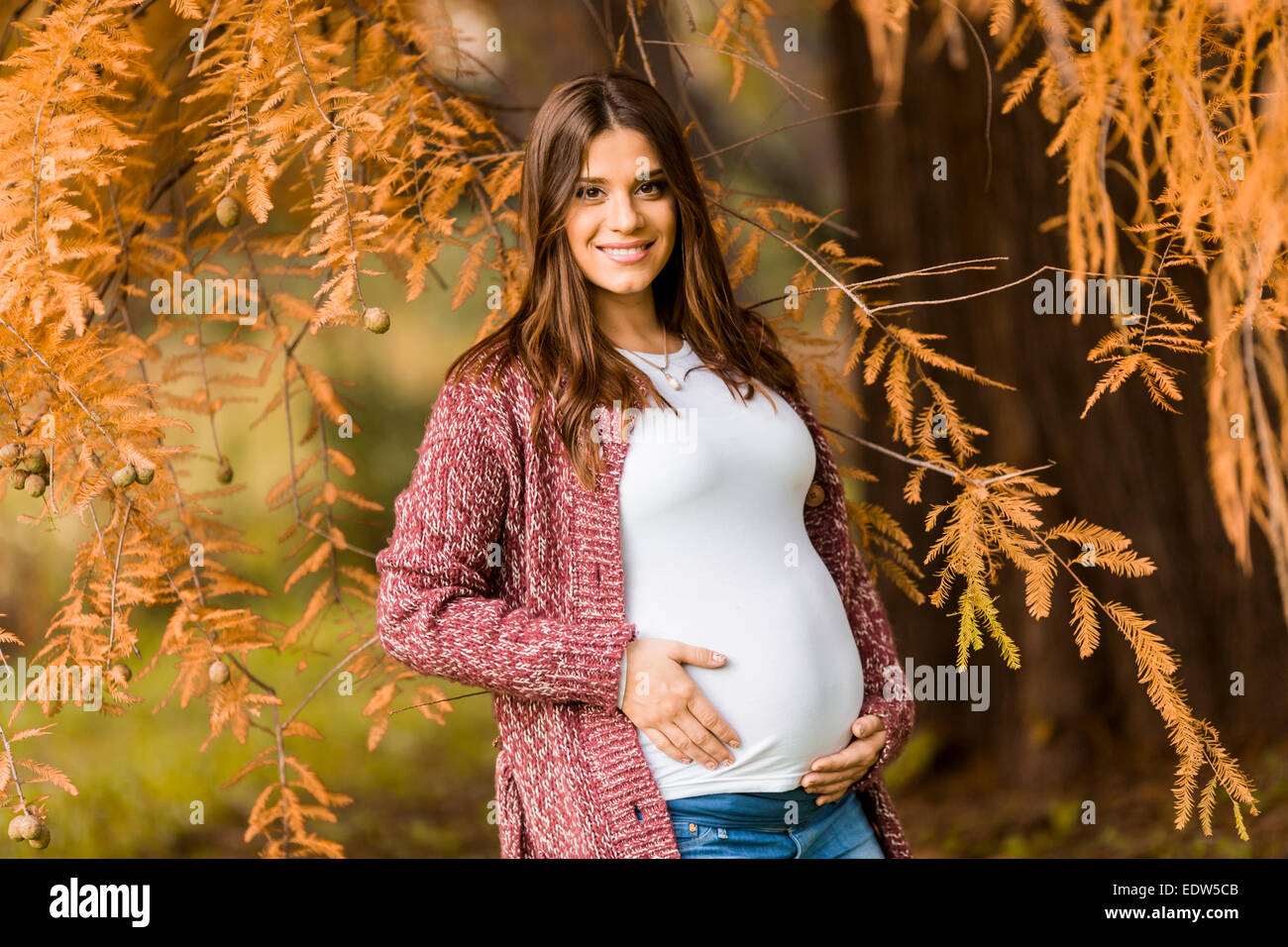 Young pregnant woman in the autumn park Stock Photo - Alamy