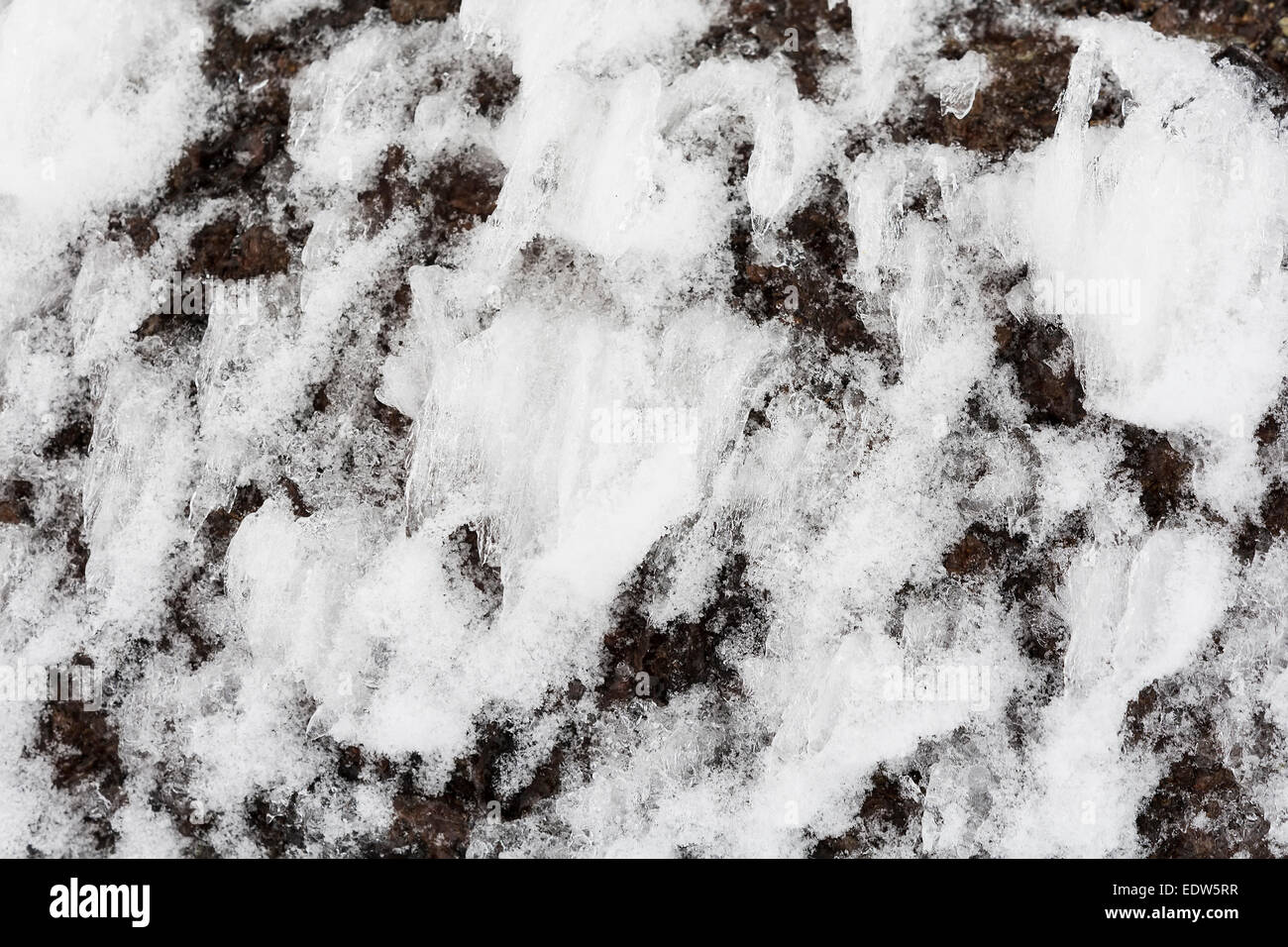 Frozen snow tree bark background Stock Photo