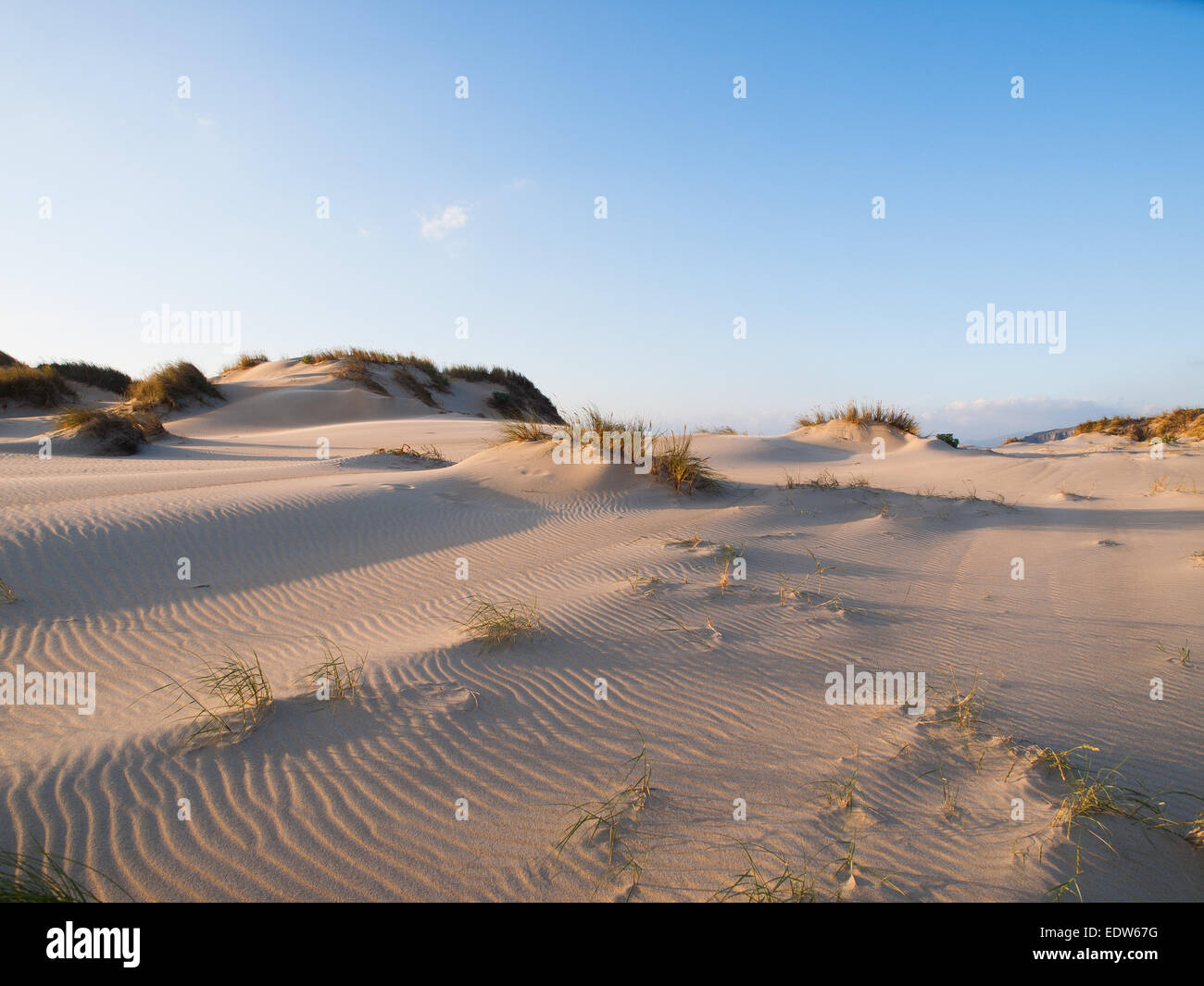 Dune on the beach at sunset Stock Photo - Alamy