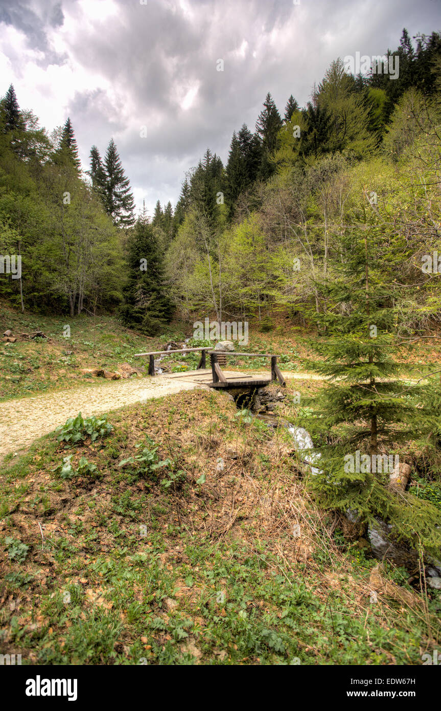 Kopaonik mountain in Serbia Stock Photo - Alamy