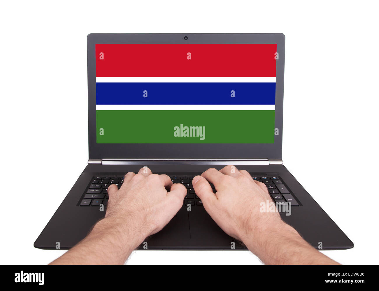 Hands working on laptop showing on the screen the flag of Gambia Stock