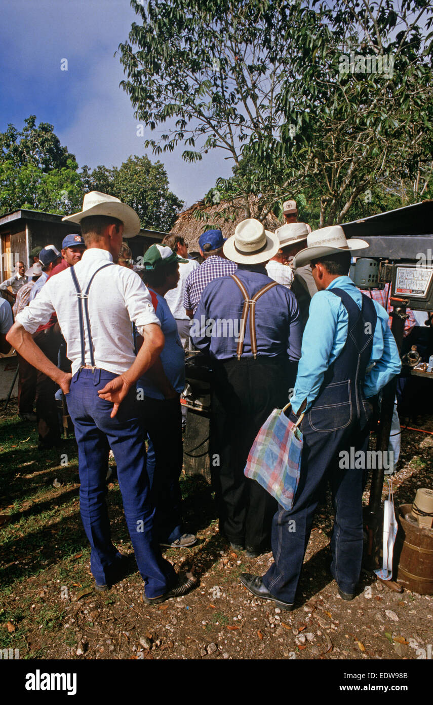 Mennonites at Spanish Lookout community farm auction, Belize, Central