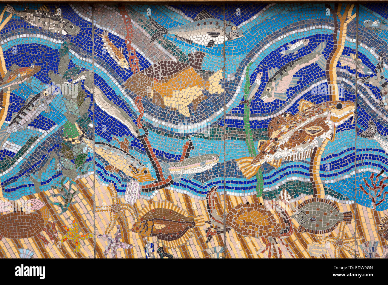 UK, England, Yorkshire, Whitby, Fish Quay, marine life decorative mosaic Stock Photo