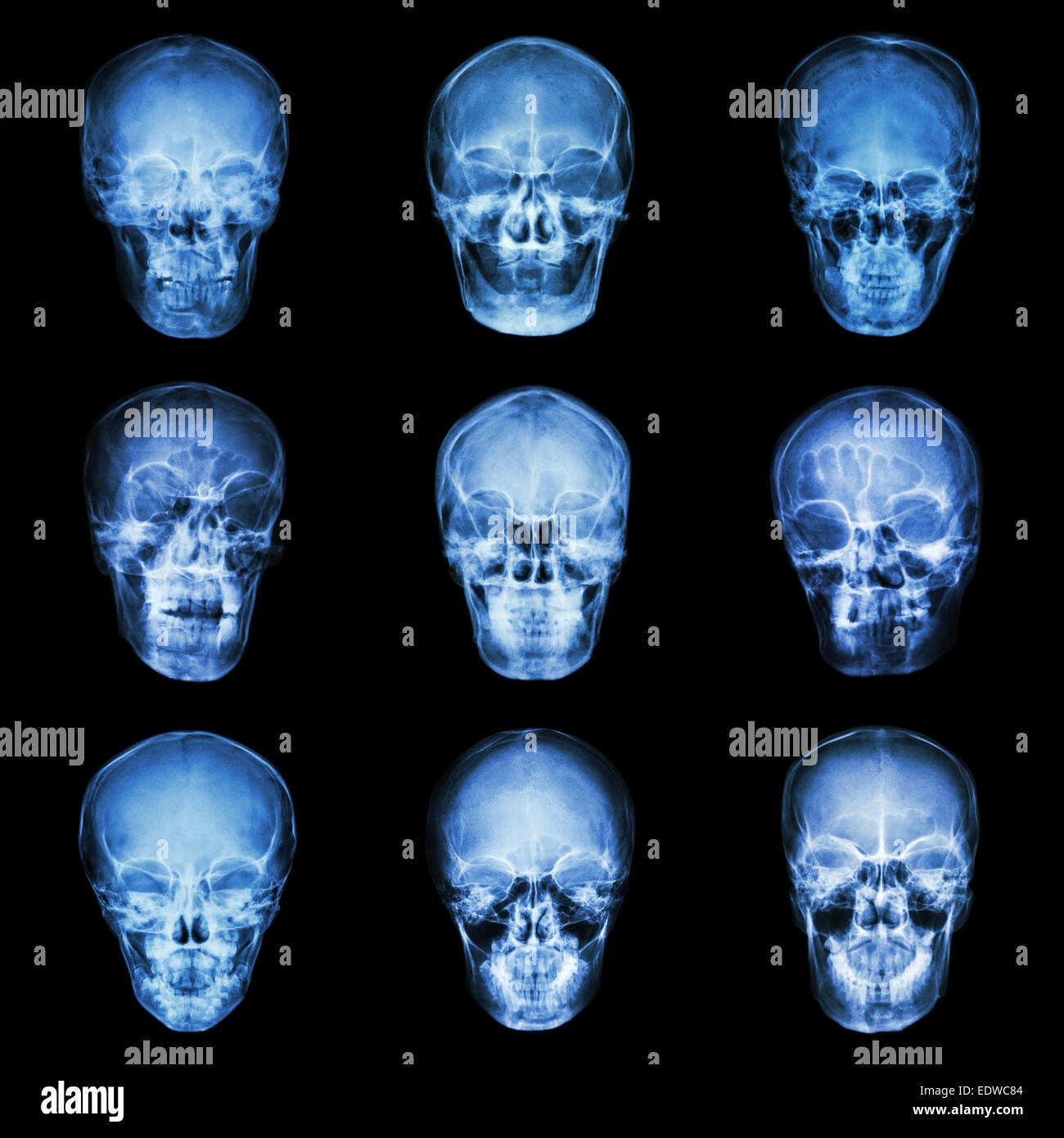 Collection of asian's skull Stock Photo
